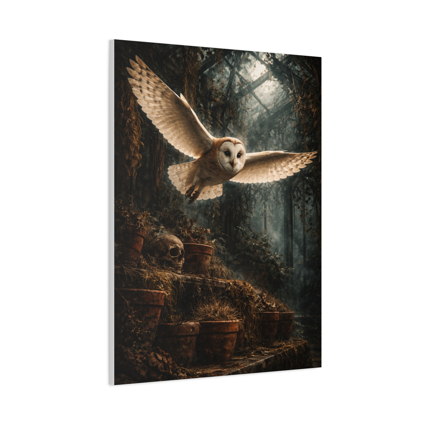 Gothic Greenhouse Flying Barn Owl Wall Art & Canvas Print