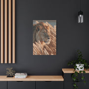 Lion in Golden Grass Calm Watch Wall Art & Canvas Print