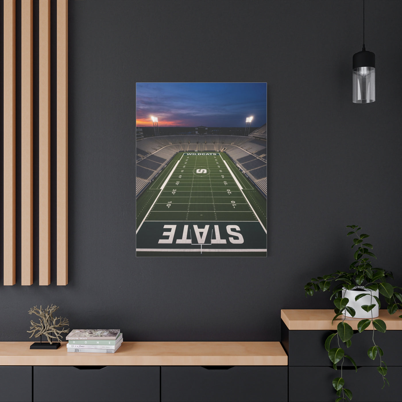 Stadium Under Lights Panorama Sports Wall Art & Canvas Print
