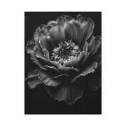 Layered Peony in Soft Shadow Wall Art & Canvas Prints