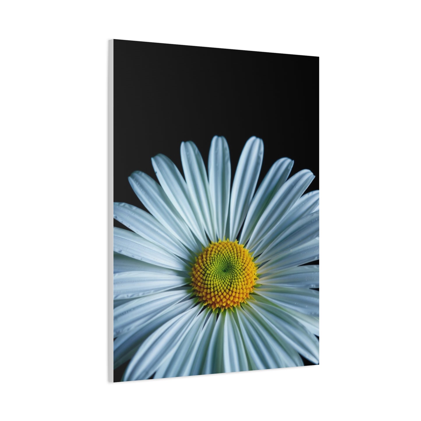 Majestic Meadow Elegance