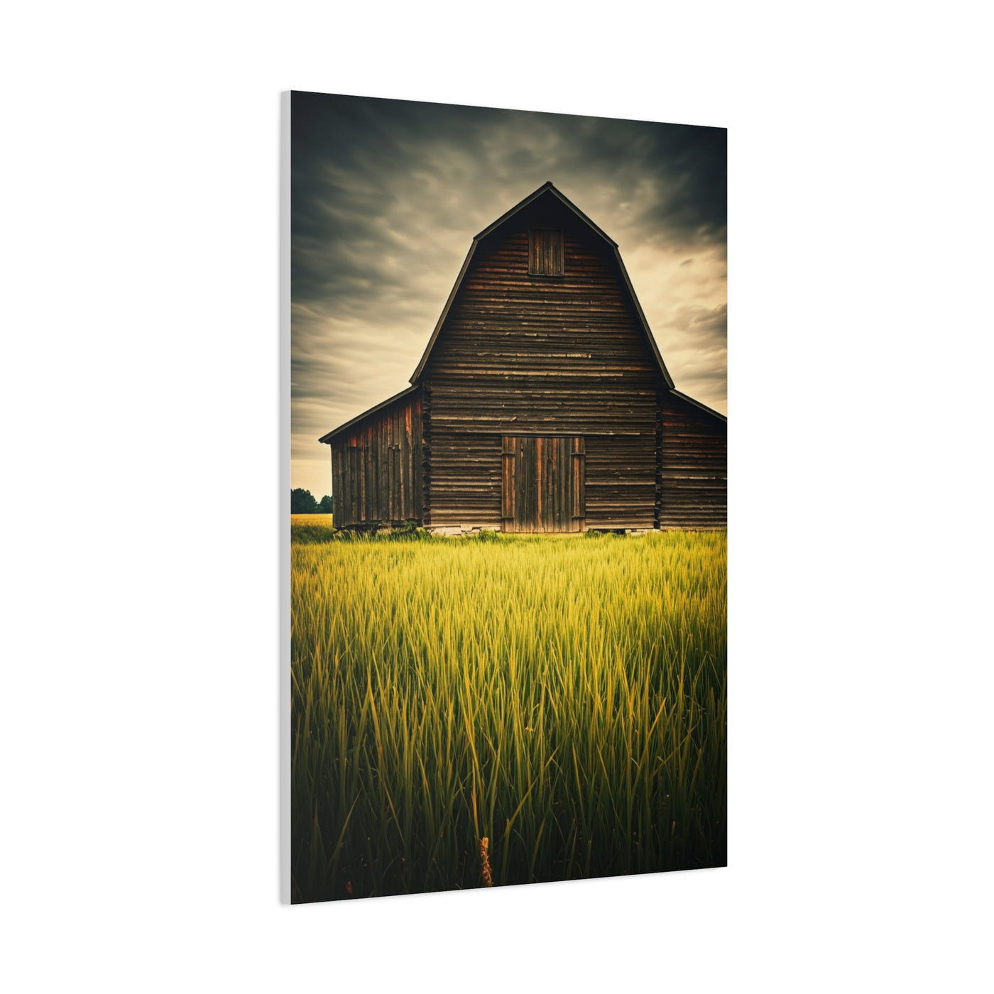 Weathered Barn in Tall Green Fields Wall Art & Canvas Prints