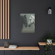 Dual Horse Contrast Portrait Wall Art & Canvas Print