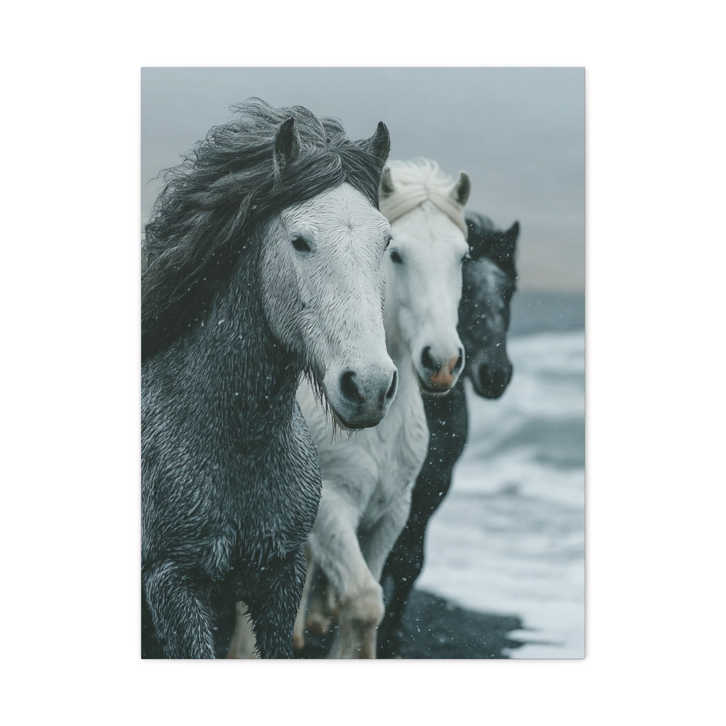 Coastal Wild Horses Storm Run Wall Art & Canvas Print