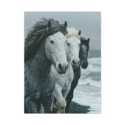 Coastal Wild Horses Storm Run Wall Art & Canvas Print