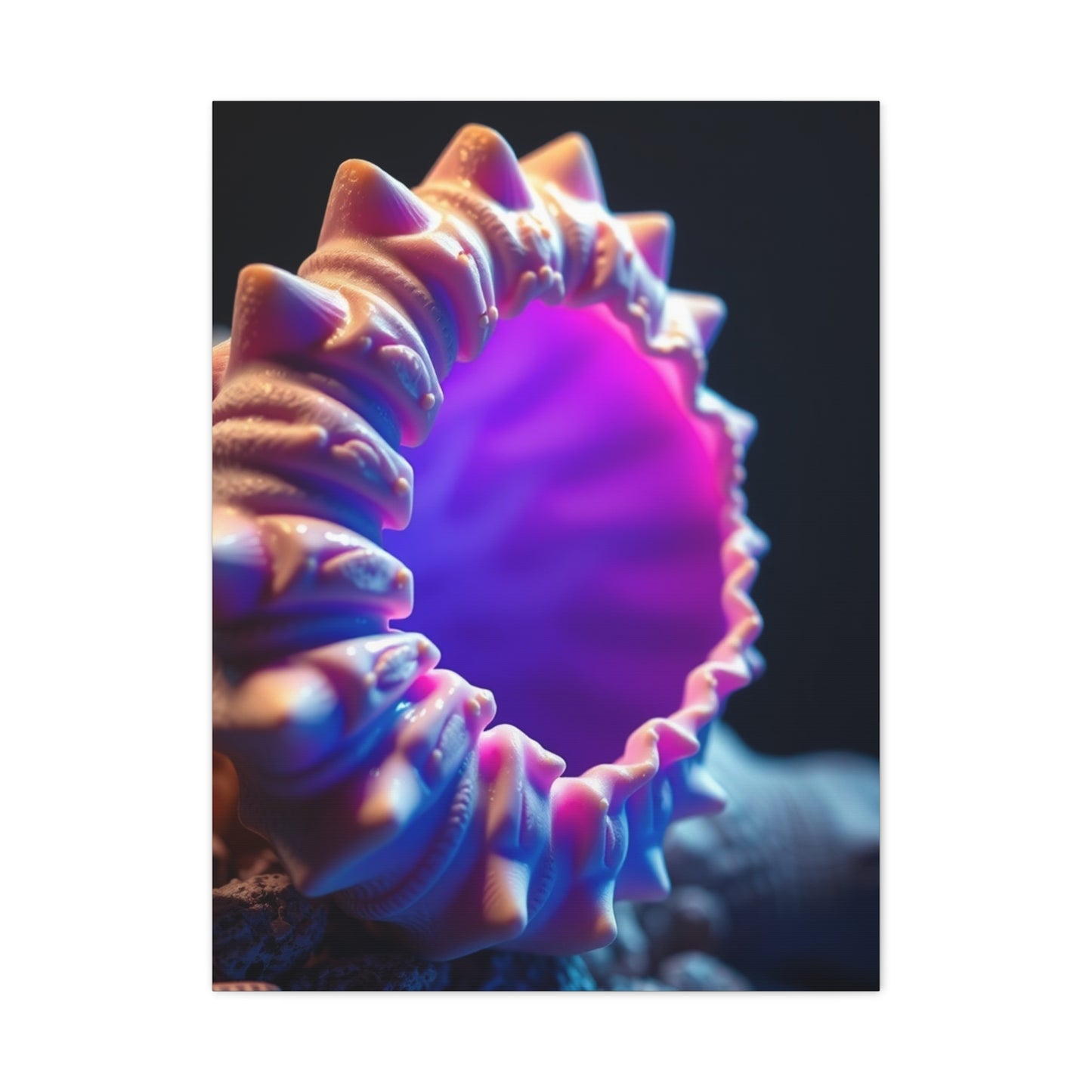 Supreme Sea Shell Art Beautiful Collection Wall Art & Canvas Print