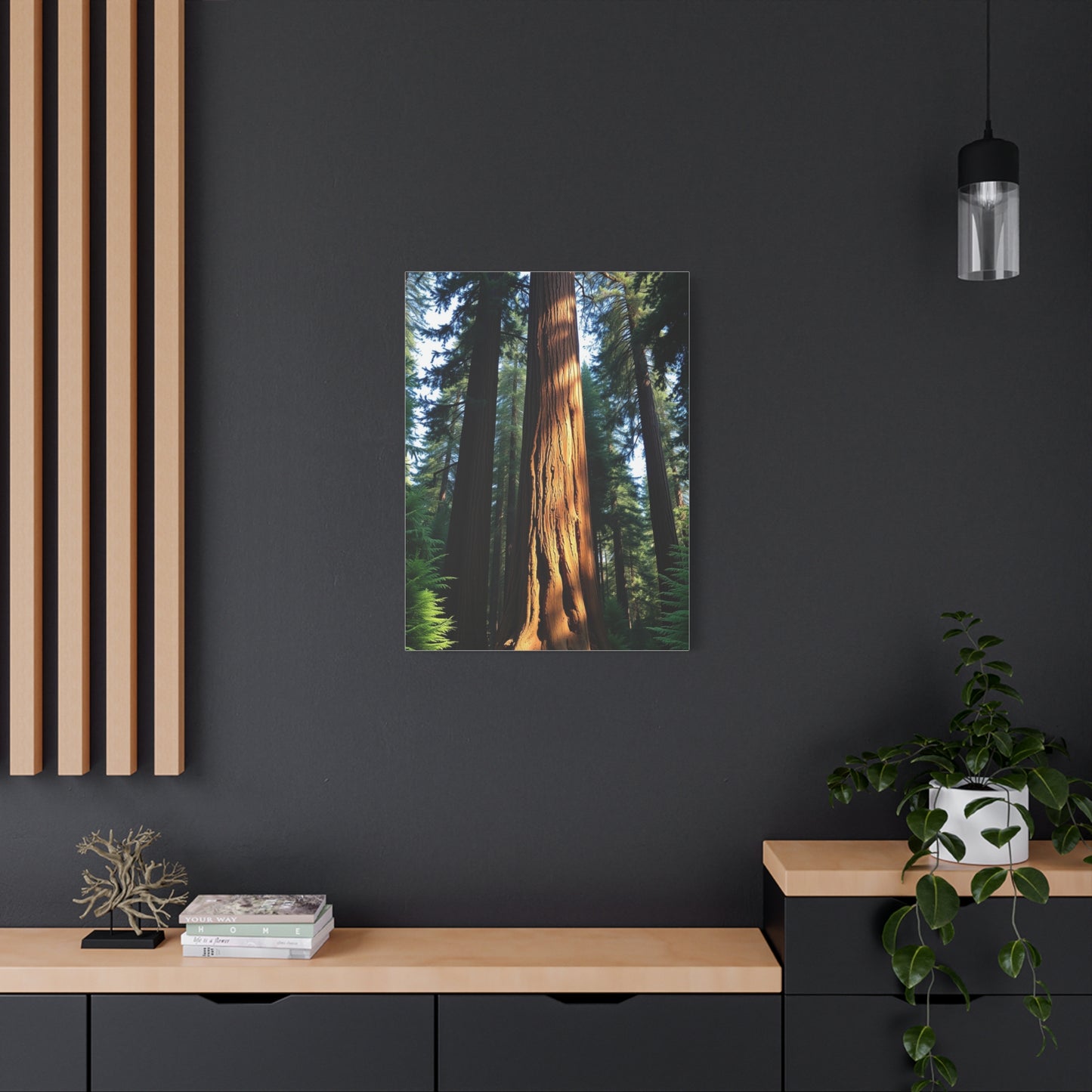 Supreme Redwood Tree Art Beautiful Collection Wall Art & Canvas Print