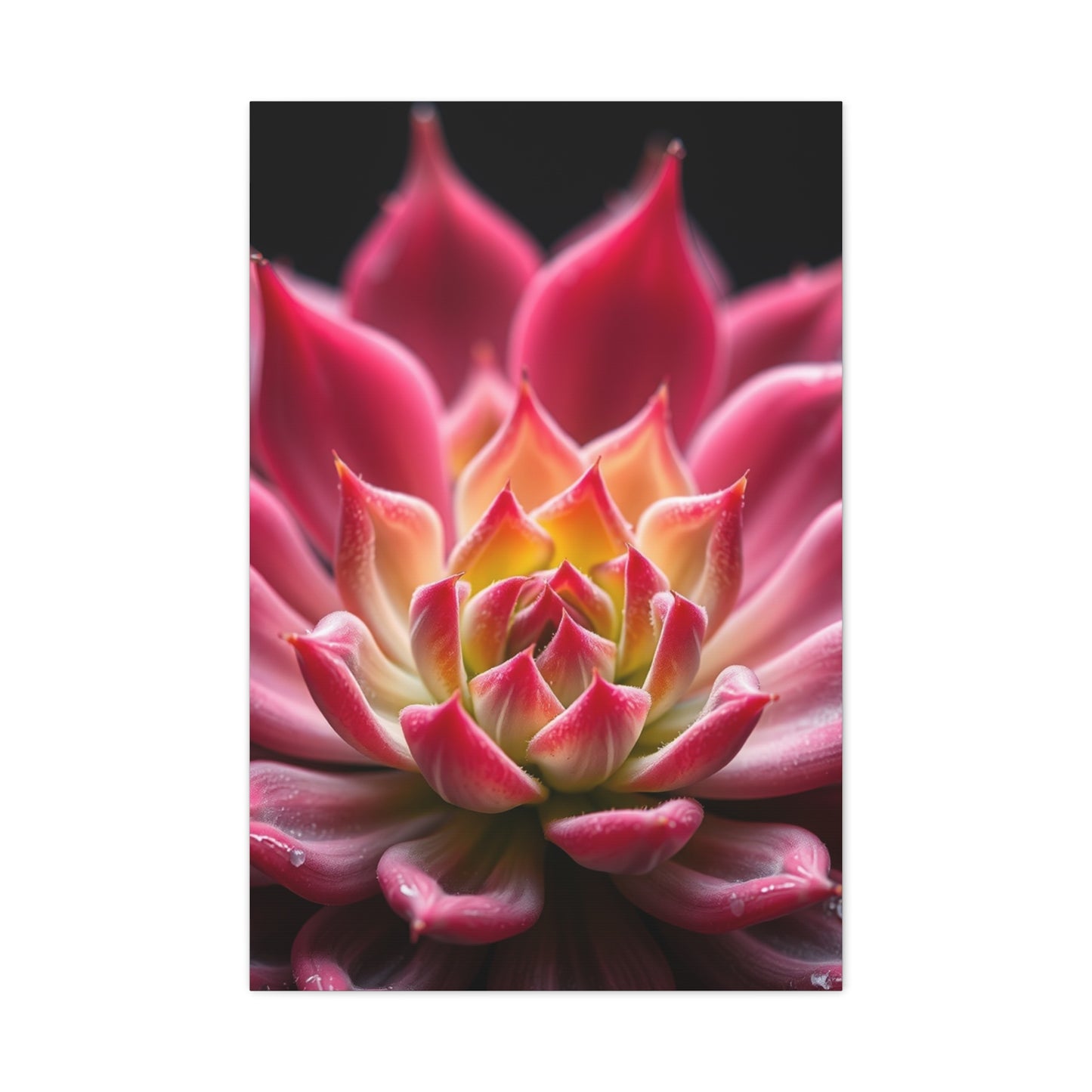 Succulent Art Supreme Canvas Wall Art & Canvas Print