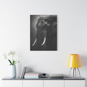 Monochrome Elephant Fine Art Portrait Wall Art & Canvas Print