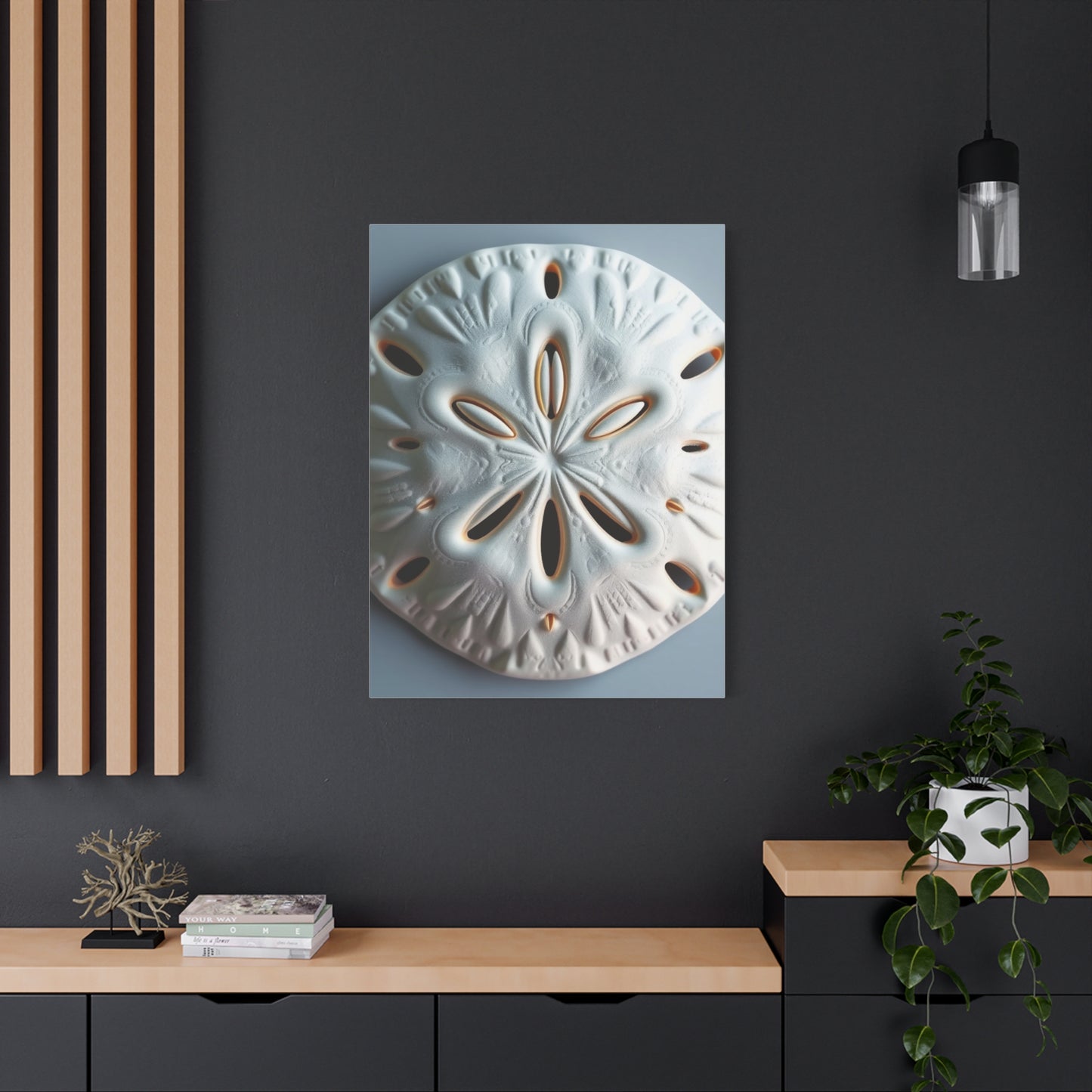 Supreme Sand Dollar Art Beautiful Collection Wall Art & Canvas Print