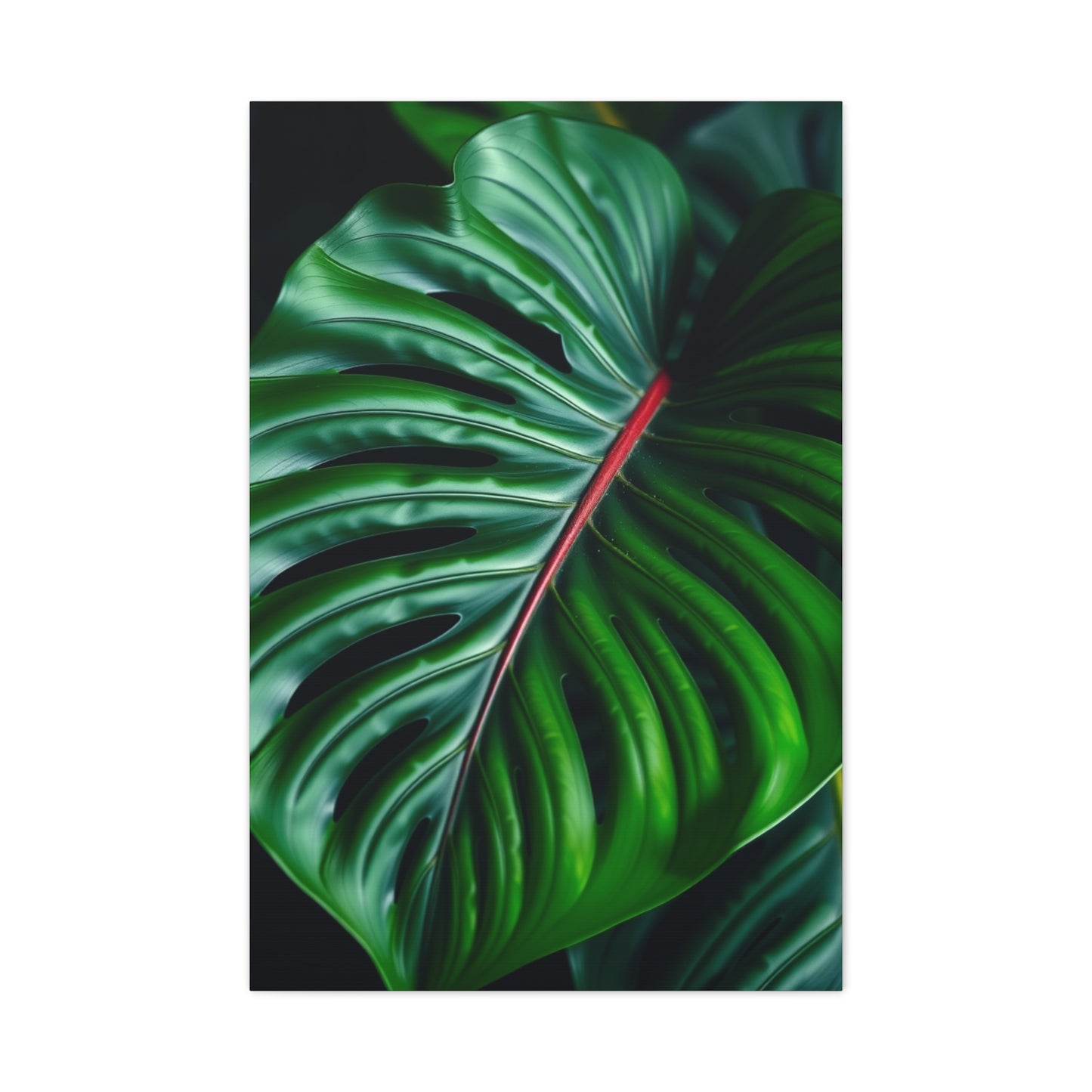 Monstera Plant Art Supreme Canvas Wall Art & Canvas Print