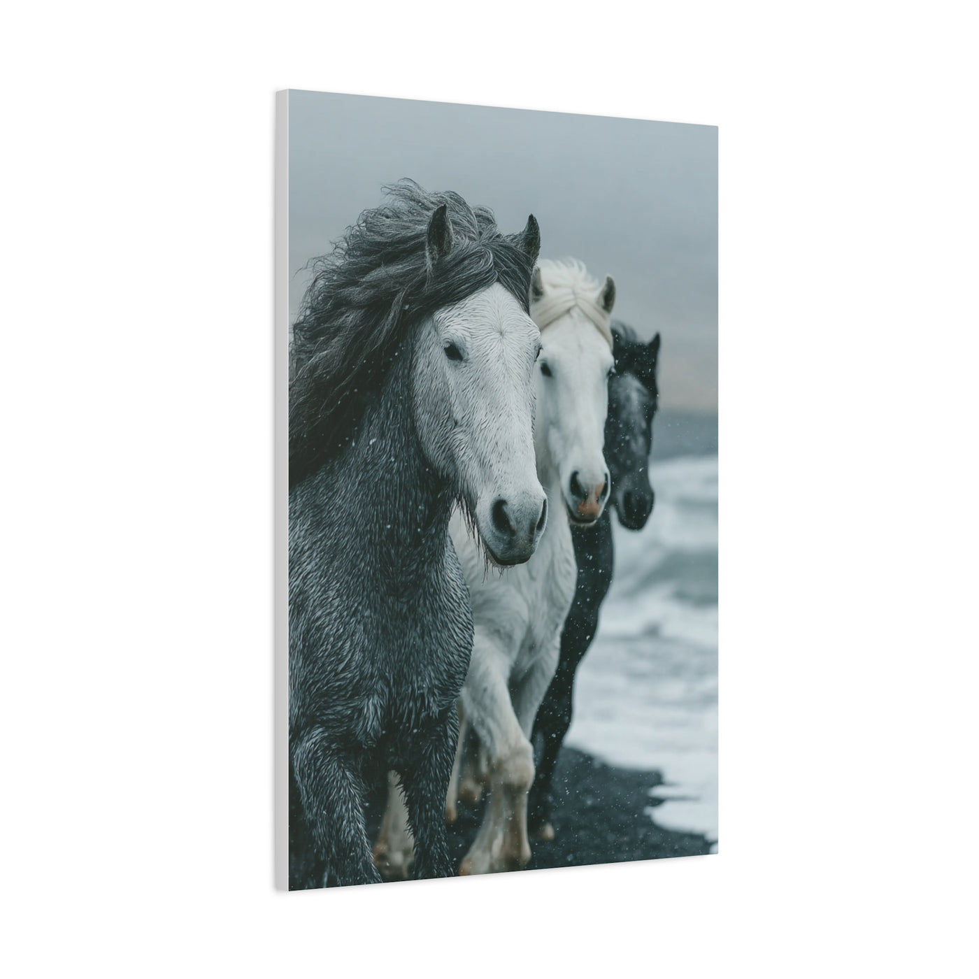 Coastal Wild Horses Storm Run Wall Art & Canvas Print