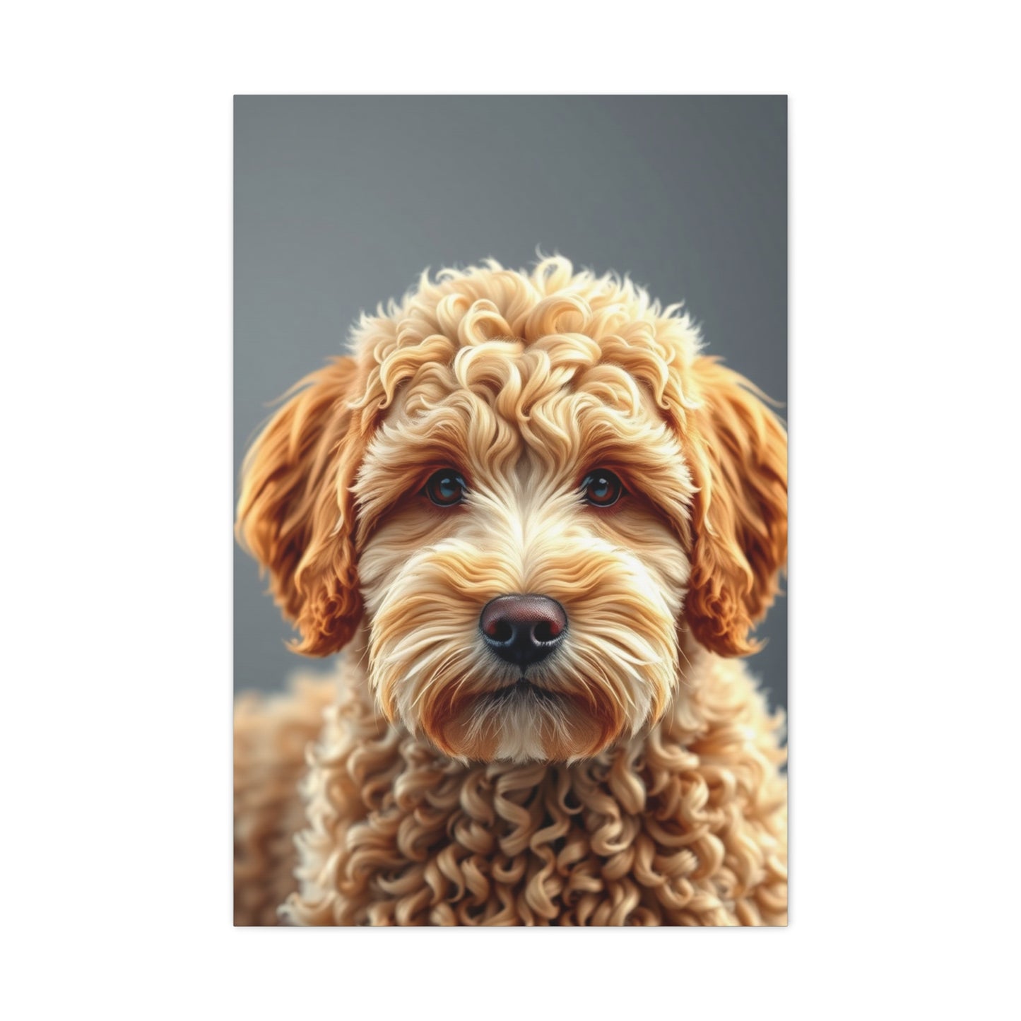 Supreme Canvas Golden Doodle Art Collection Wall Art & Canvas Print
