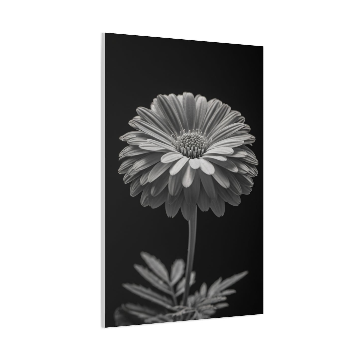 Classic Gerbera Portrait Wall Art & Canvas Prints