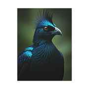 Midnight Crested Starling Portrait Wall Art & Canvas Prints