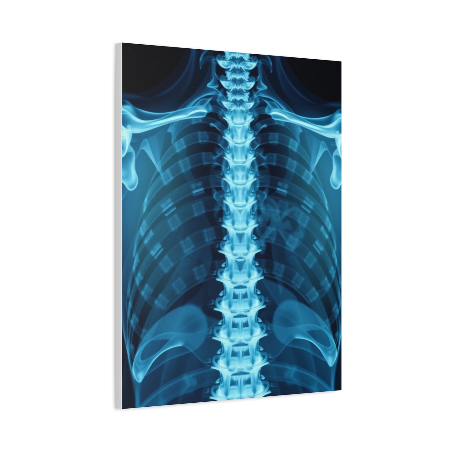 X-Ray Photography Art Supreme Gallery Wall Art & Canvas Print