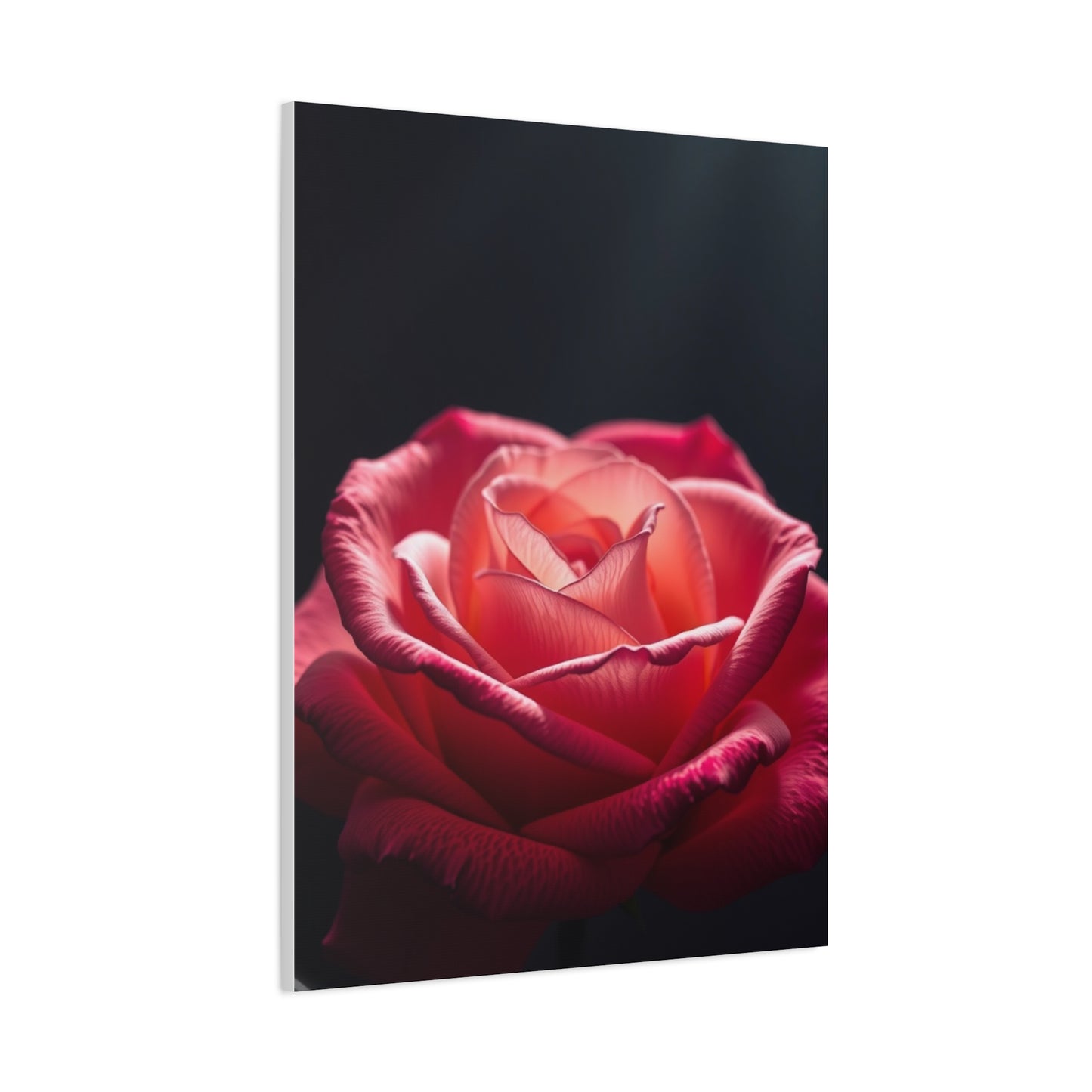 Rose Flower Art Supreme Canvas Wall Art & Canvas Print