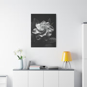 Timeless Garden Rose Portrait Wall Art & Canvas Prints