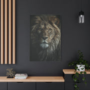 Lion Close Portrait Intense Gaze Wall Art & Canvas Print
