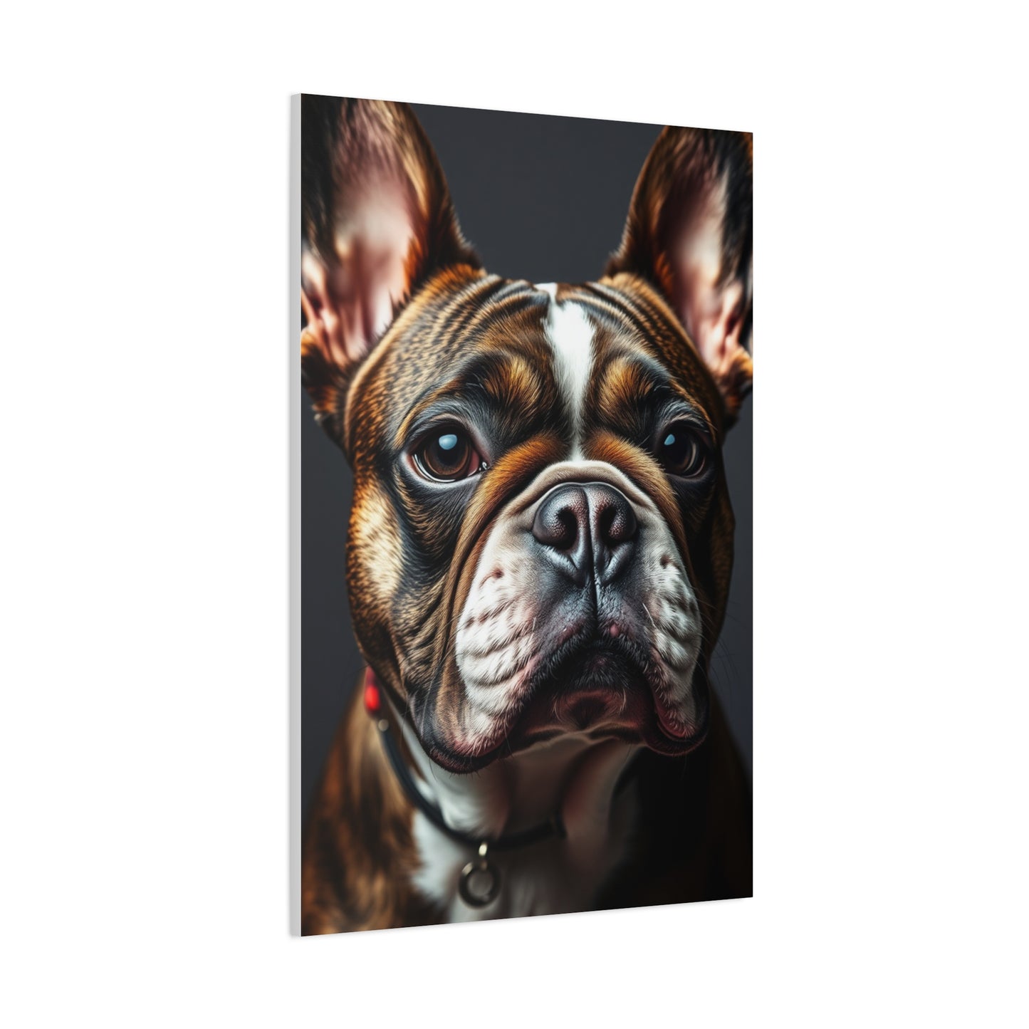 Supreme French Bulldog Art Beautiful Collection Wall Art & Canvas Print