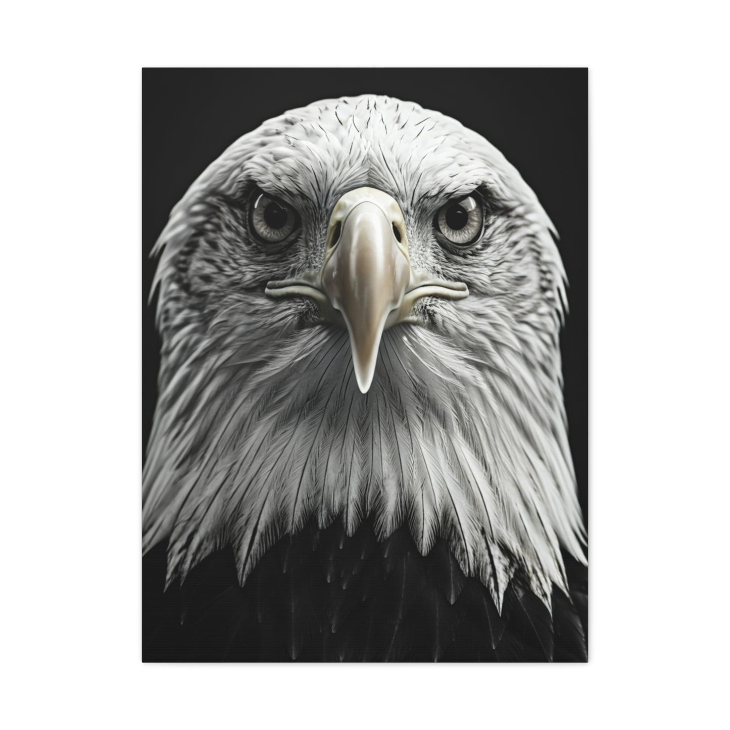 Bald Eagle Power Portrait Wall Art & Canvas Prints