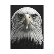 Bald Eagle Power Portrait Wall Art & Canvas Prints