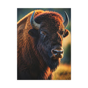Golden Hour Bison Side Portrait with Warm Prairie Light Wall Art & Canvas Print