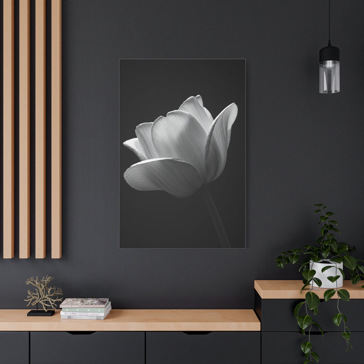 Orchid Symmetry in Black & White Wall Art & Canvas Prints