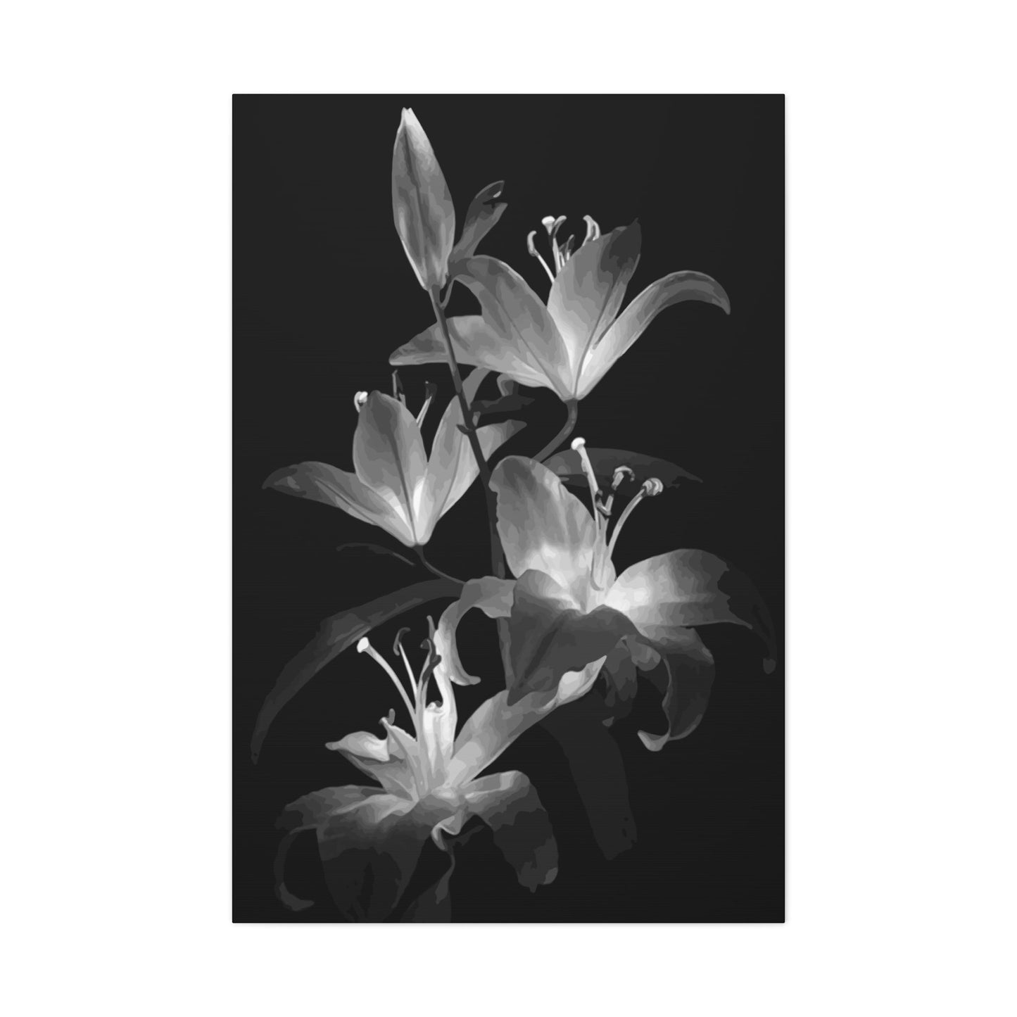 Lily Wall Art & Canvas Prints