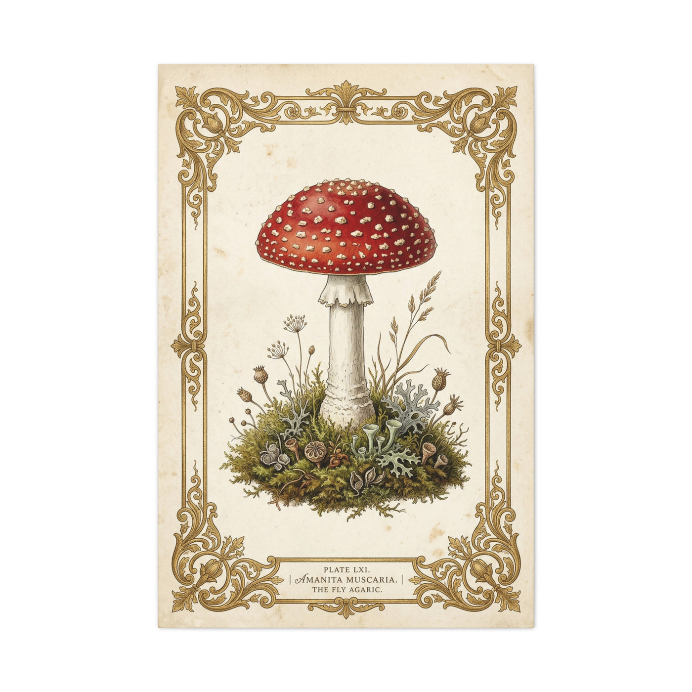 Victorian Botanical Mycology Plate Wall Art & Canvas Print