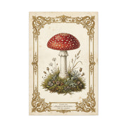 Victorian Botanical Mycology Plate Wall Art & Canvas Print