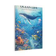 Ocean Life Educational Diagram – Wall Art & Canvas Print