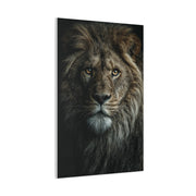 Lion Close Portrait Intense Gaze Wall Art & Canvas Print