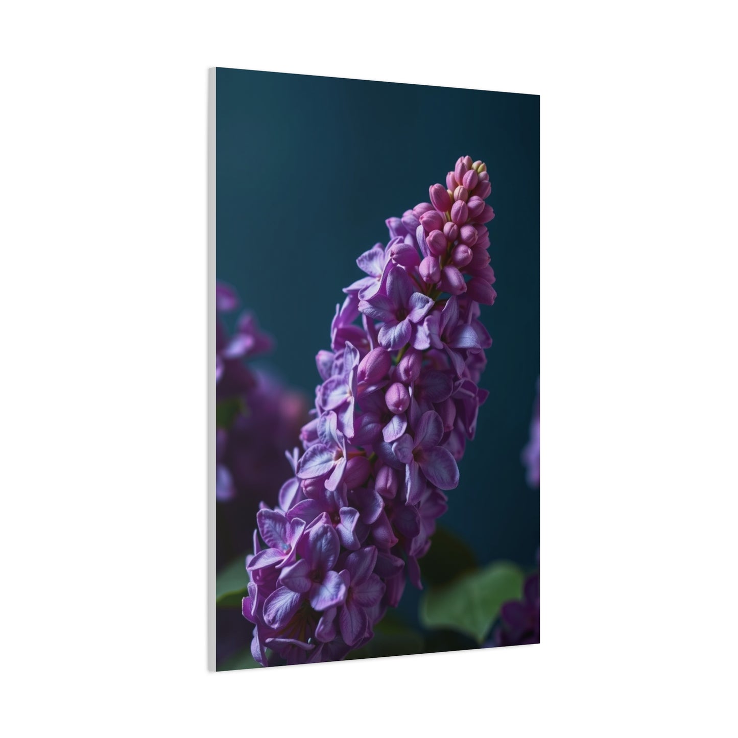 Elite Lilac Flower Art Vision Wall Art & Canvas Print