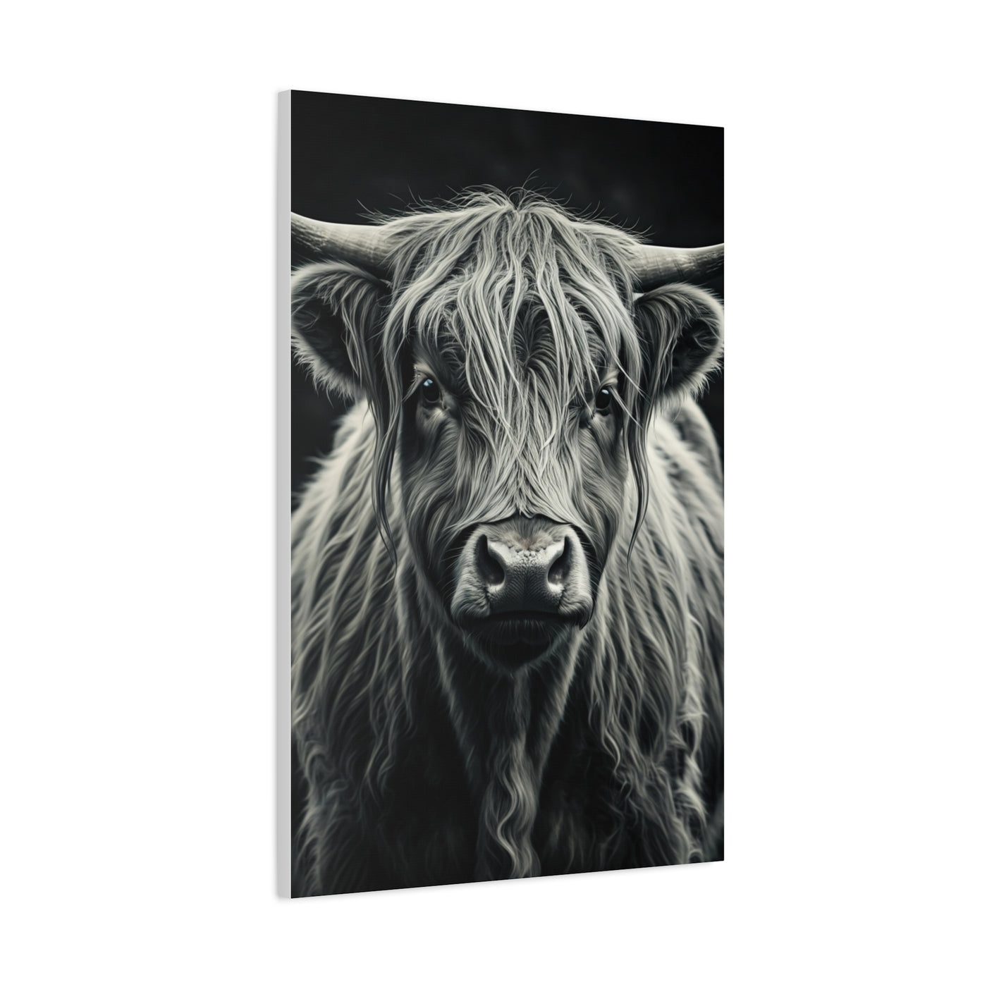 Highland Longhorn Portrait Wall Art & Canvas Prints