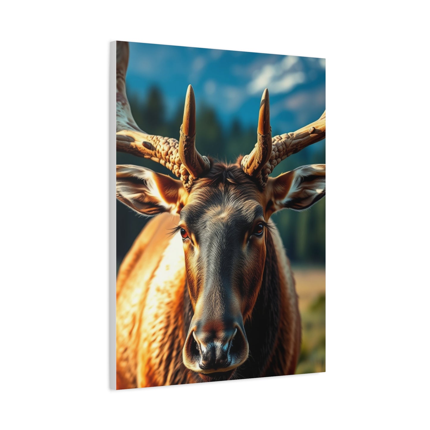 Supreme Elk Art Beautiful Collection Wall Art & Canvas Print