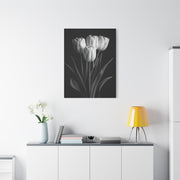 Graceful Tulip Trio Monochrome Wall Art & Canvas Prints
