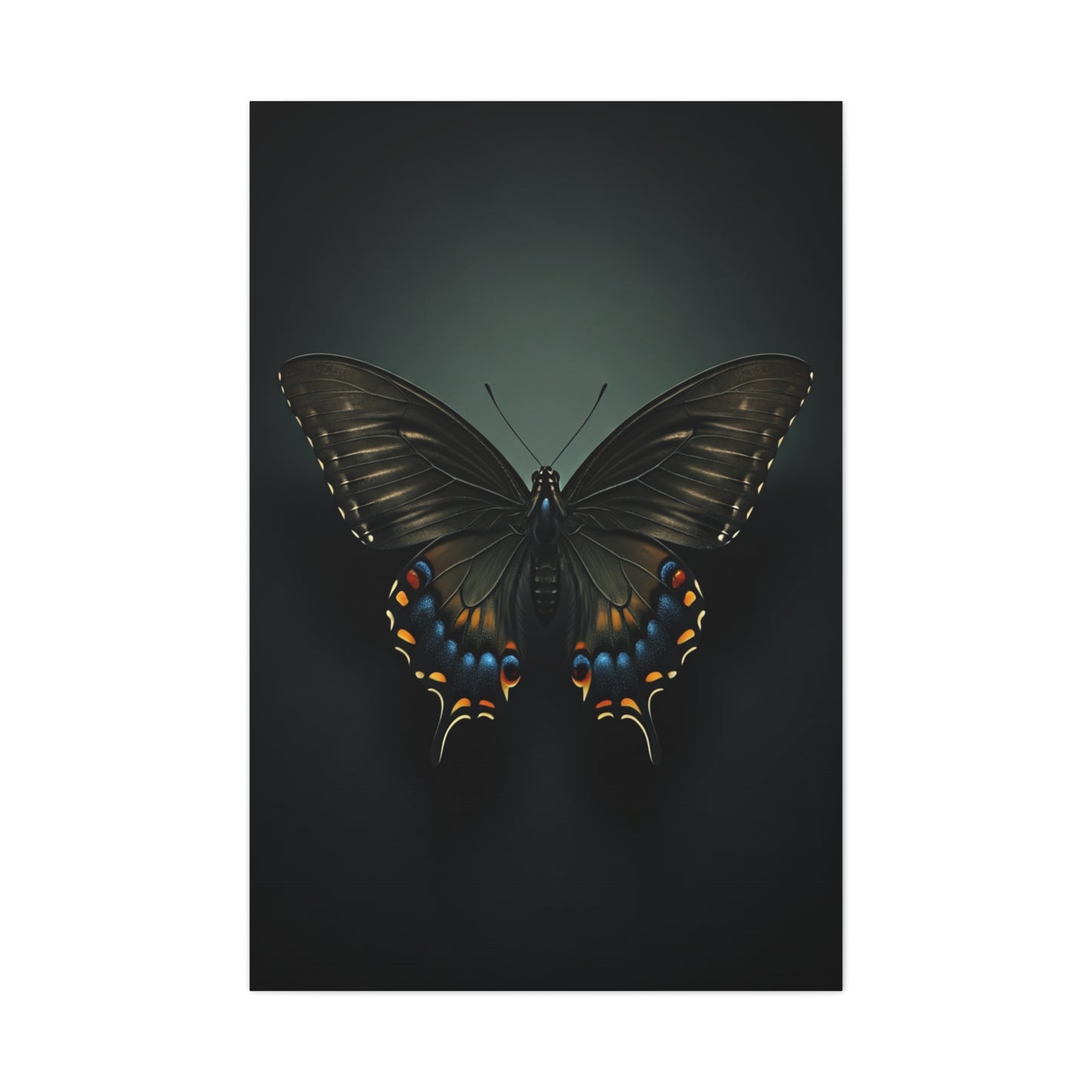 Midnight Swallowtail Butterfly with Jewel Wing Accents Wall Art & Canvas Prints
