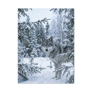 Winter Forest Wolf Natural Encounter Scene Wall Art & Canvas Print