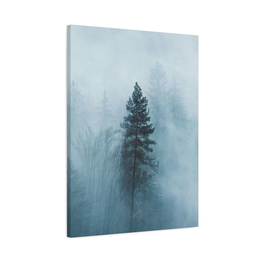 Pine Tree Tropical Rain Forest Wall Art & Canvas Prints