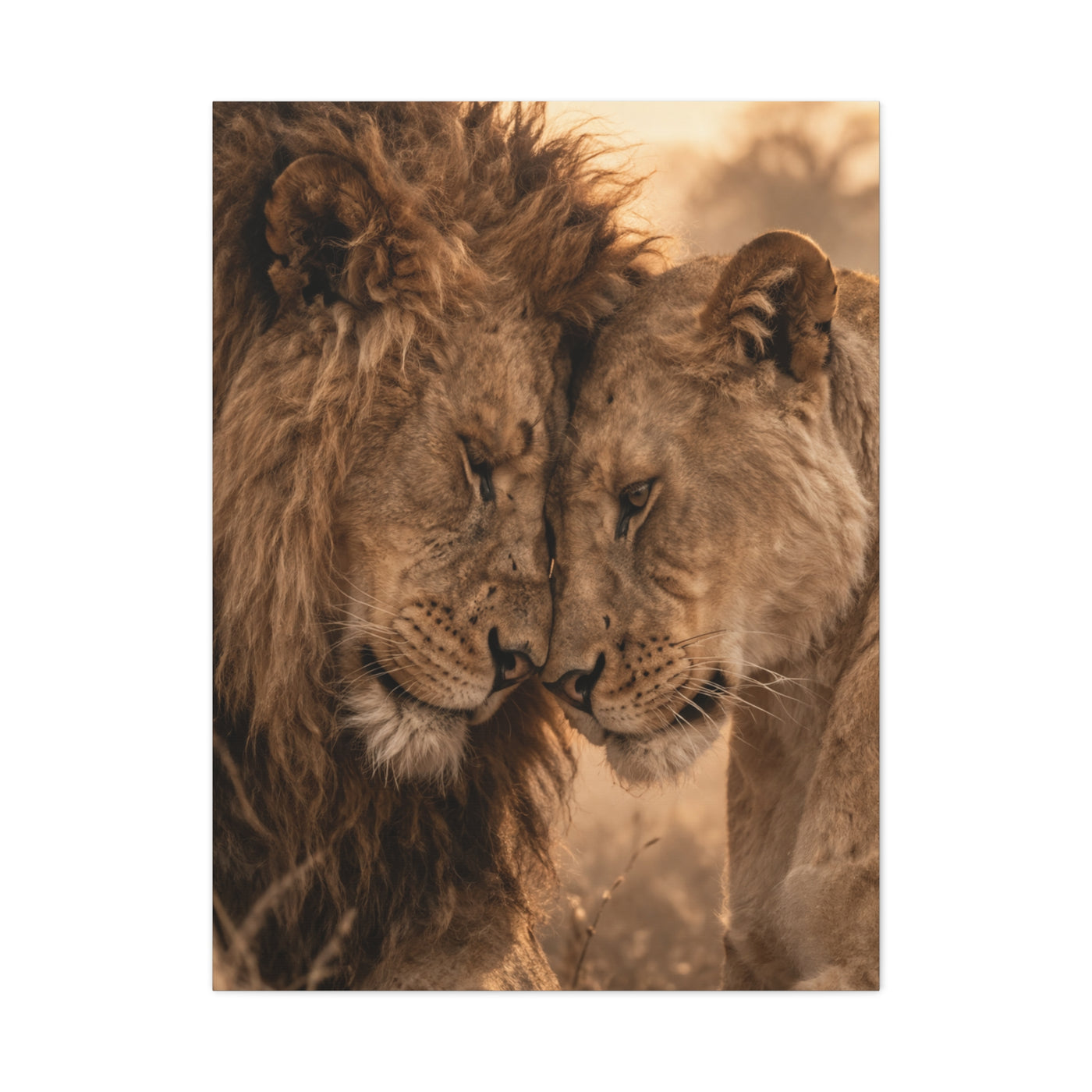 Lion and Lioness Intimate Bond Wall Art & Canvas Print