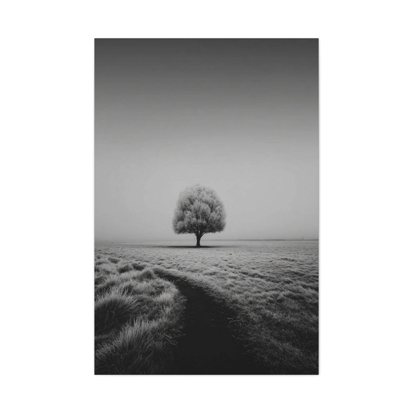 Lone Tree Winter Field Wall Art & Canvas Print