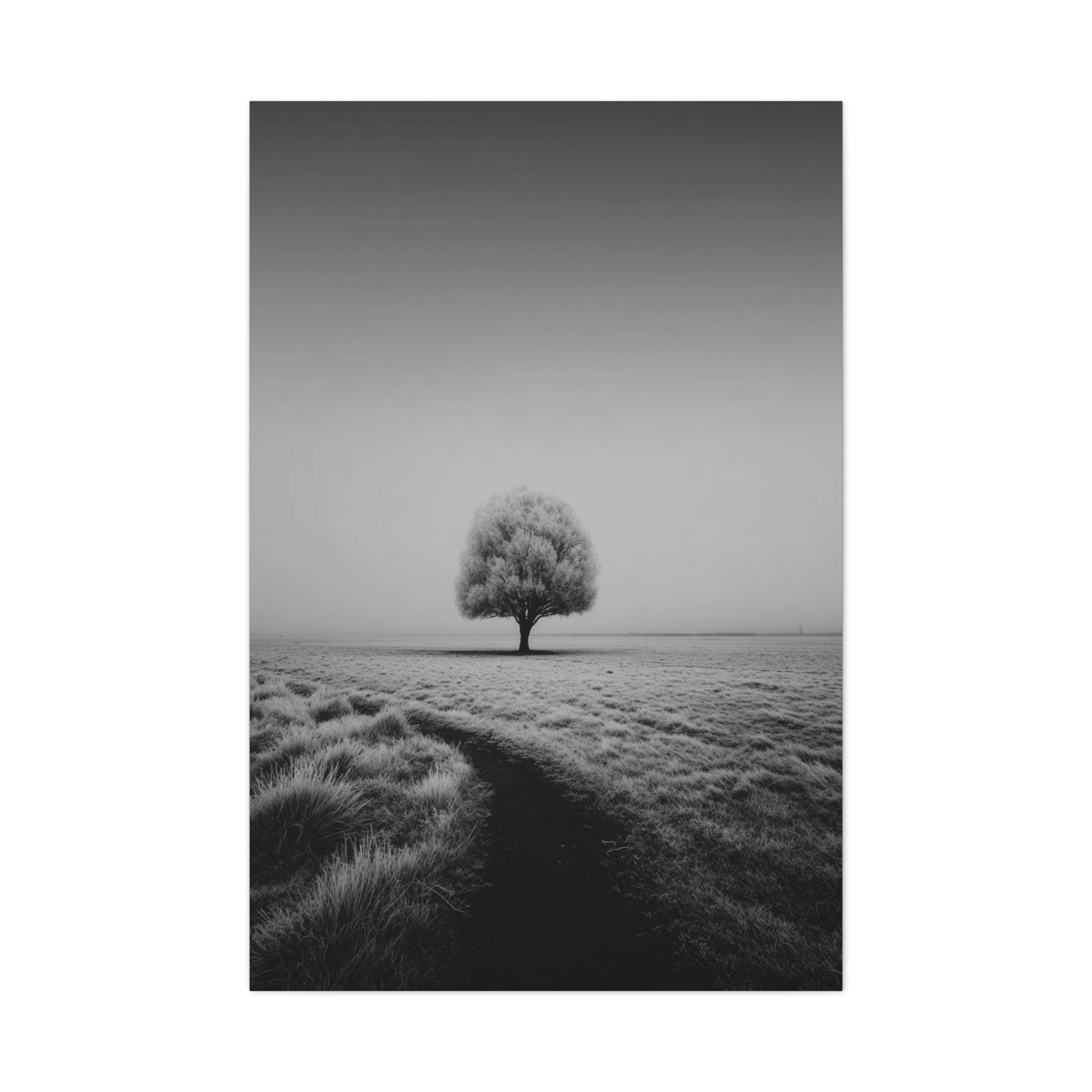 Lone Tree Winter Field Wall Art & Canvas Print