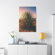 Desert Agave Sunburst Wall Art & Canvas Prints