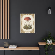 Victorian Botanical Mycology Plate Wall Art & Canvas Print