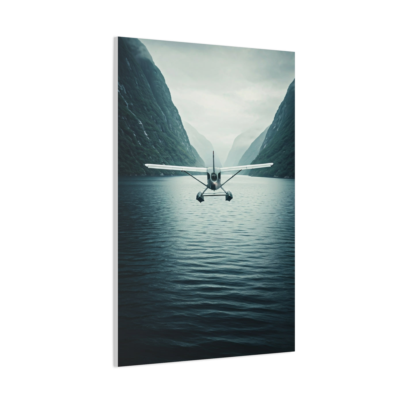 Seaplane Fjord Landing Wall Art & Canvas Prints