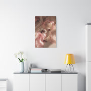Coquette Satin Bow Still Life Wall Art & Canvas Print