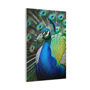 Vibrant Peacock Portrait Wall Art & Canvas Prints