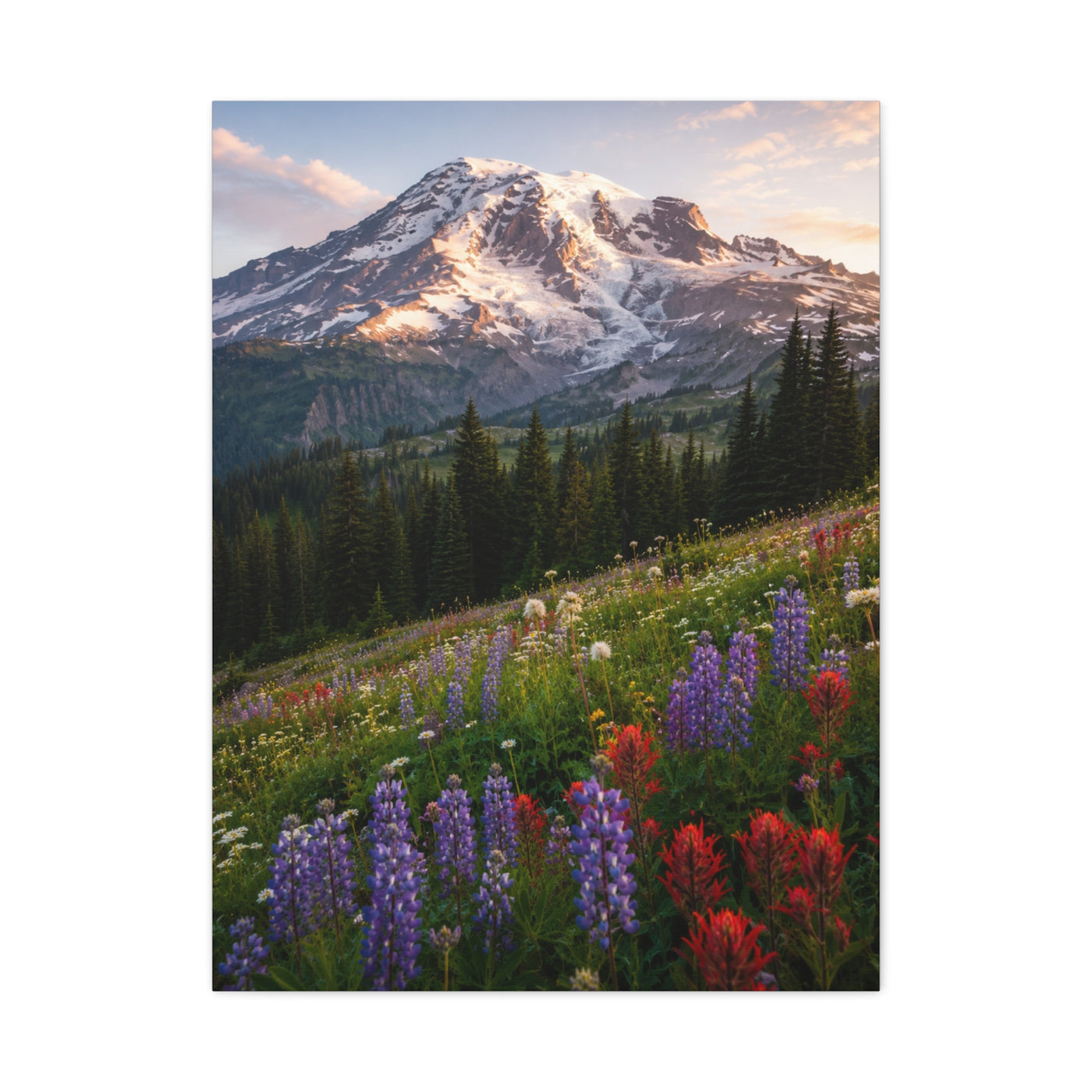 Mount Rainier Wildflower Meadow Wall Art & Canvas Print