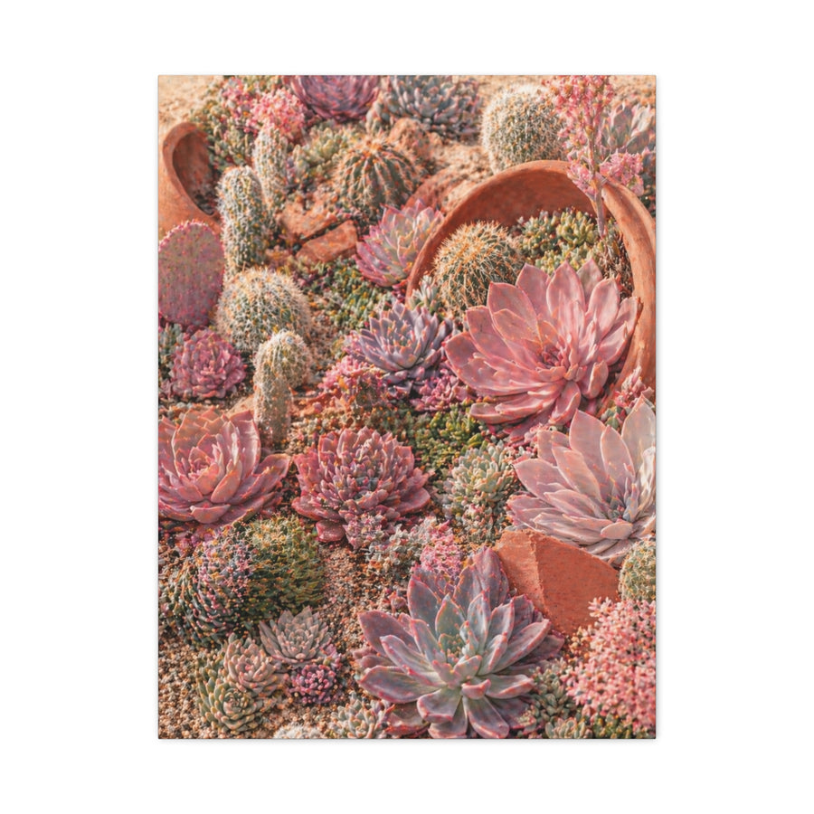 Pink Succulent Garden Wall Art & Canvas Print